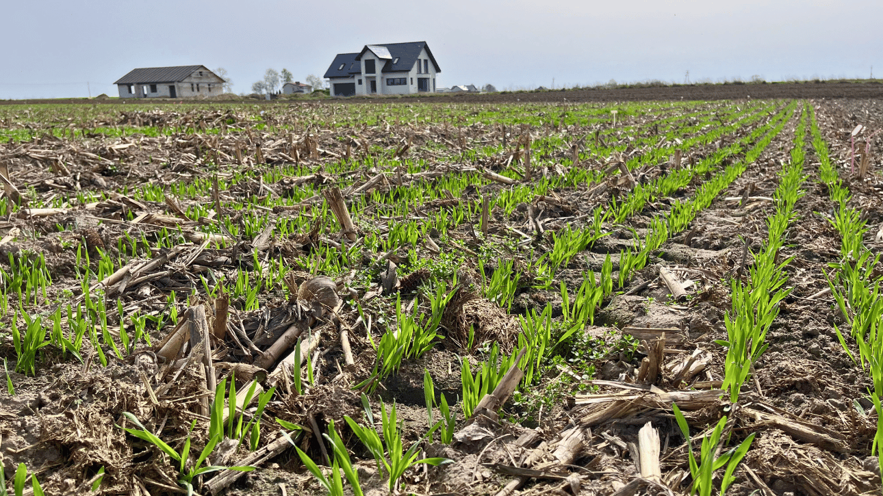 Ocena obsady roślin
